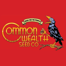 Thornberry Thicket Cannabis Seeds – Common Wealth Seed Co