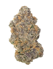 Sugar Cane V2 Bx1  In House Genetics