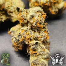 SlurBanger Feminised Cannabis Seeds - In House Genetics