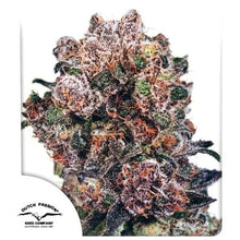 Blueberry® –  Original Blueberry- Dutch Passion Seed Company