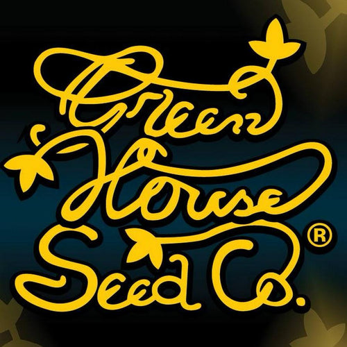 Green House Seeds Milky Dreams Feminized Cannabis Seeds - 05 seeds