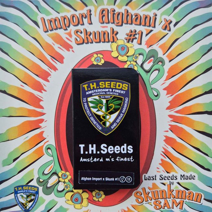 Import Afghani x Skunk #1 Regular Cannabis Seeds T.H.Seeds